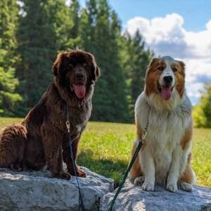 Meet your Posher, Jon